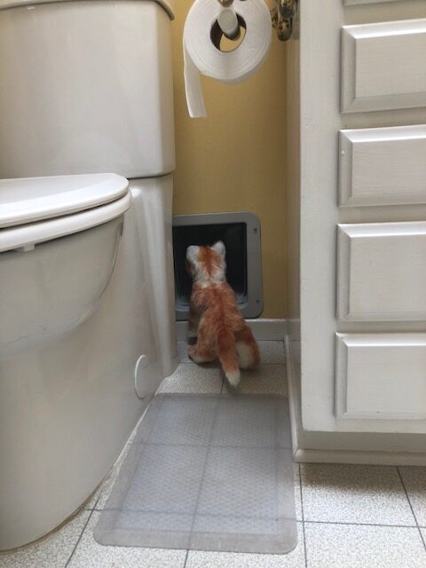 hidden litter box cat