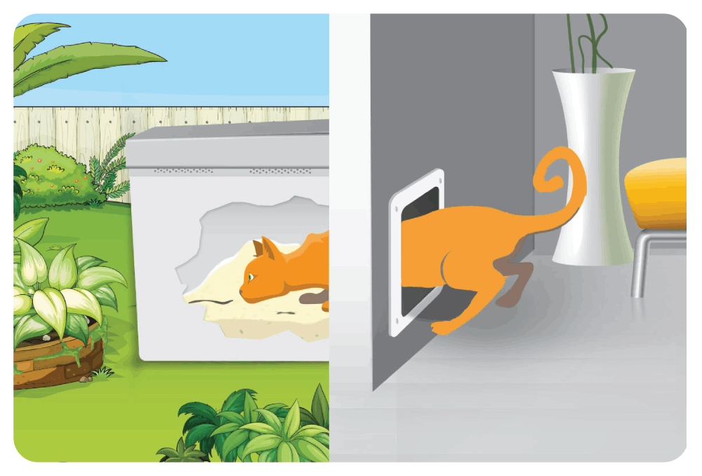 high walled litter box