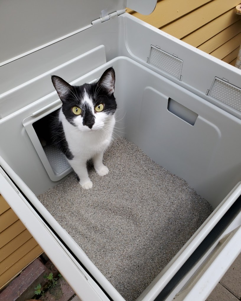 Outdoor Litter Box