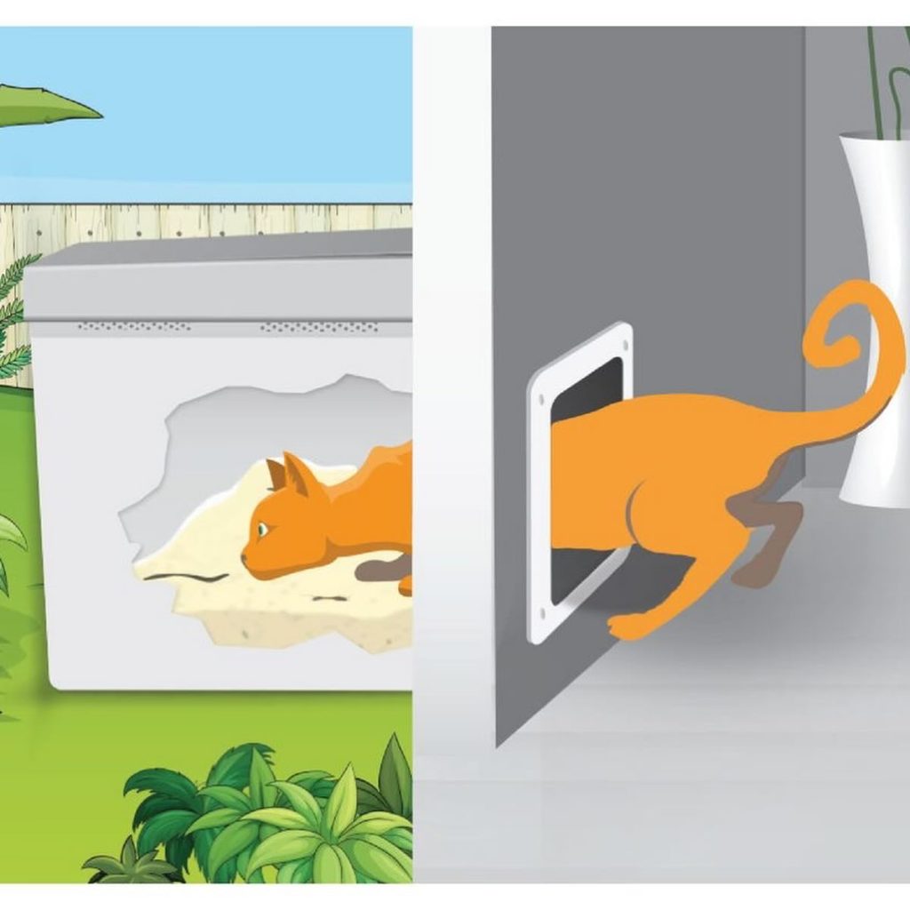 outdoor litter box